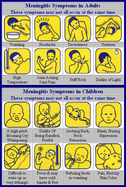 meningitis