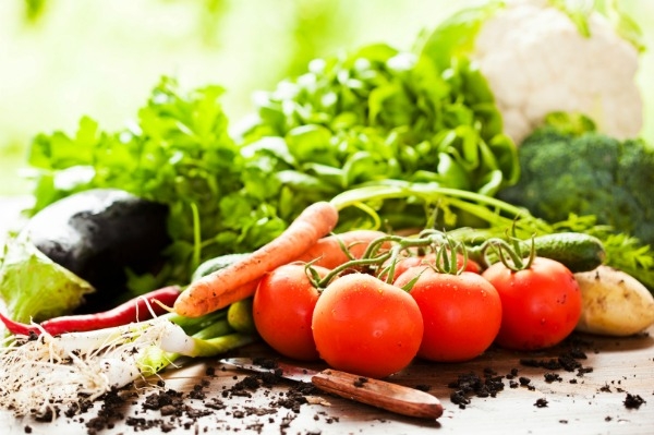 &Beta;&iota;&omicron;&lambda;&omicron;&gamma;&iota;&kappa;ά &pi;&rho;&omicron;ϊό&nu;&tau;&alpha; &kappa;&alpha;&iota; &Upsilon;&gamma;&epsilon;ί&alpha;