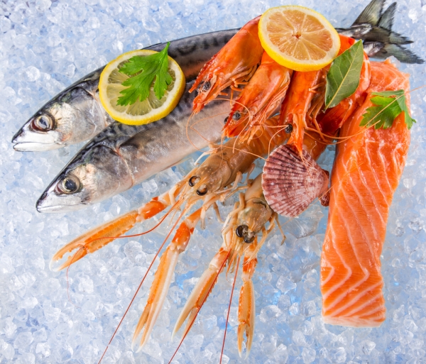 &Tau;&alpha; &pi;&lambda;&omicron;ύ&sigma;&iota;&alpha; &omicron;&phi;έ&lambda;&eta; &tau;&omega;&nu; &theta;&alpha;&lambda;&alpha;&sigma;&sigma;&iota;&nu;ώ&nu; &gamma;&iota;&alpha; &tau;&eta;&nu; &upsilon;&gamma;&epsilon;ί&alpha;